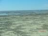 2011-06-04_Lake_Eyre_001_159_.jpg