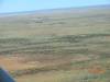 2011-06-04_Lake_Eyre_001_190_.jpg