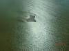2011-06-04_Lake_Eyre_001_62_.jpg