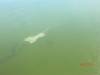 2011-06-04_Lake_Eyre_001_63_.jpg