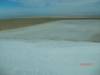 2011-06-04_Lake_Eyre_001_88_.jpg