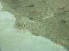 2011-06-04_Lake_Eyre_001_94_.jpg
