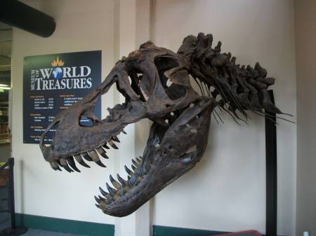 Museum Of World Treasures