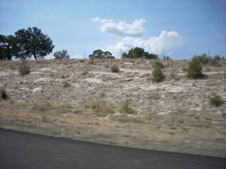 New Mexico