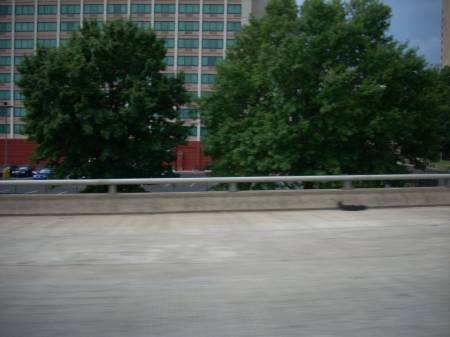 Trees, I-40 in Nashville