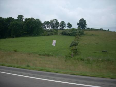 Pastoral scene