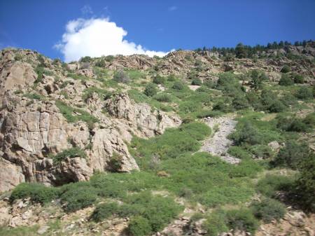 Rocky Mountain High....Colorado...