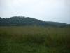 DSCN2611.JPG