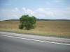 DSCN2634.JPG