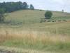 DSCN2642.JPG
