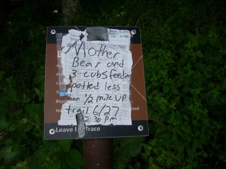 Bear sighting on trail post