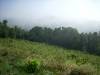 DSCN2663.JPG