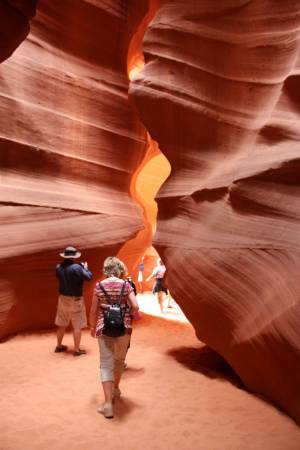 antelope 18