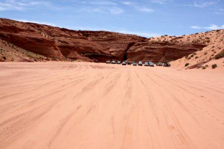 antelope 19