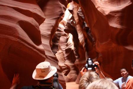 antelope 6