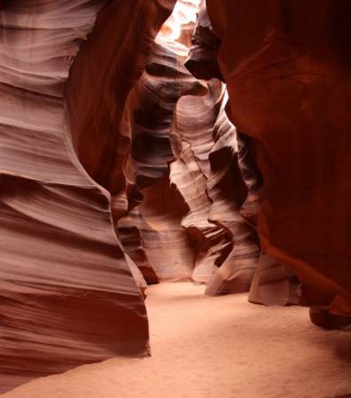antelope 7