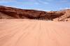 antelope_19a.jpg
