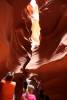 antelope_9a.jpg