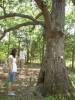 DSCN3184.JPG