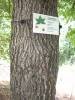 DSCN3188.JPG
