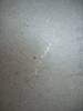 DSCN3229.JPG
