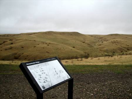 Sharpshooter Ridge