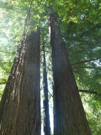 Holiday_117