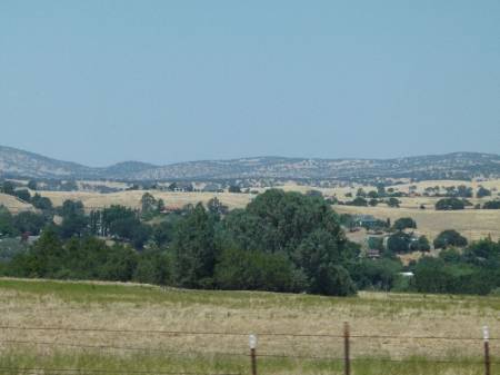 Holiday_167