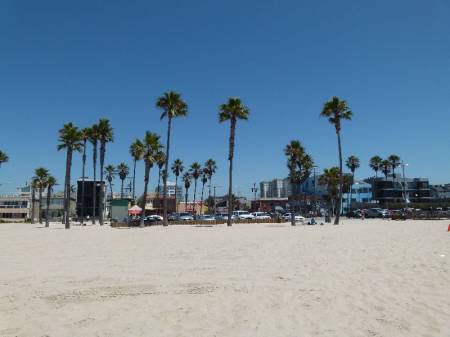 Holiday_311