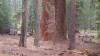 Holiday_226.JPG