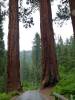 Holiday_236.JPG