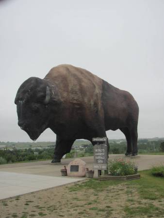 World's Largest Buffalo