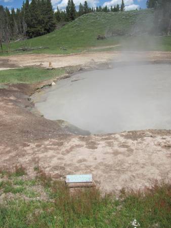 Mud Volcano Area