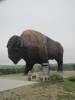 Yellowstone_009.JPG