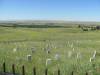 Yellowstone_078.JPG