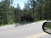 Yellowstone_192.JPG