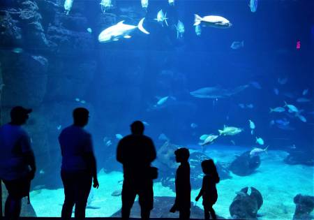 Virginia Aquarium