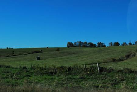 Westward