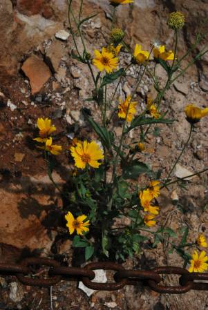 Grand Canyon National Park