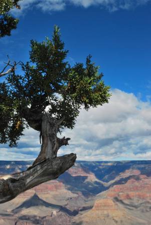 Grand Canyon National Park