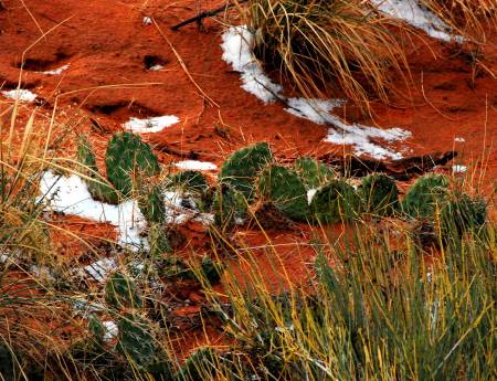Arches National Park