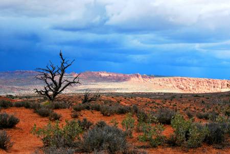 Arches National Park