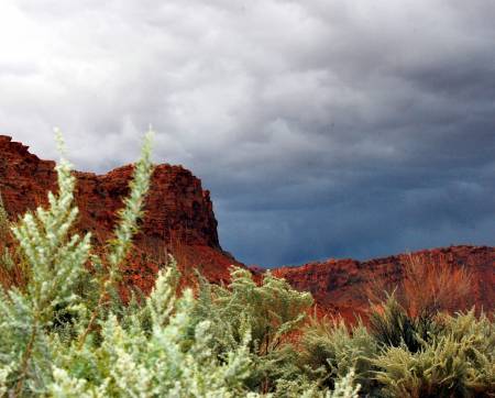 Arches National Park
