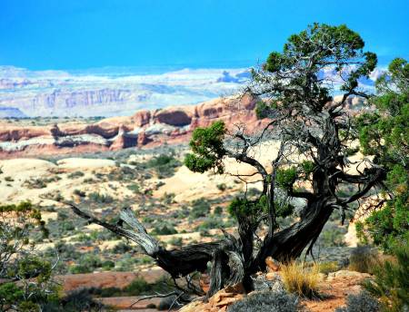 Arches National Park