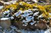DSC_0045.JPG