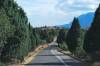 DSC_0817.JPG