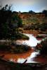 arches004.jpg