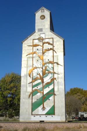 131