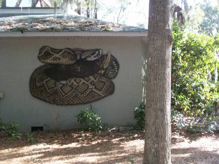 Edisto Island Serpentarium