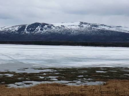 Haines Highway